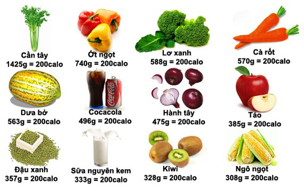 KIỂM SOÁT LƯỢNG THỨC ĂN
