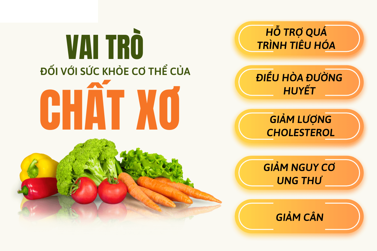 vai trò chất xơ đối với cơ thể