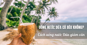 Uống nước dừa có béo không?